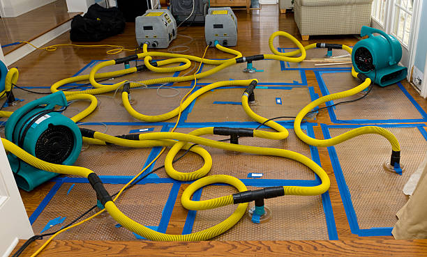 Professional Sewage Cleanup technician working in Jonesboro, IN